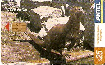 URU-C-302a - Lobo de Rio