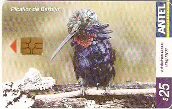 URU-C-377a - Picaflor De Barbijo