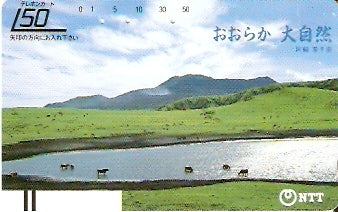 JAP-390-027