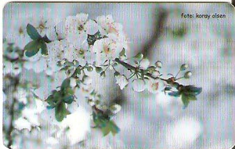 TUR-C-030x - Flores - 11