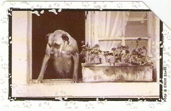 ITA-075 - Cachorro