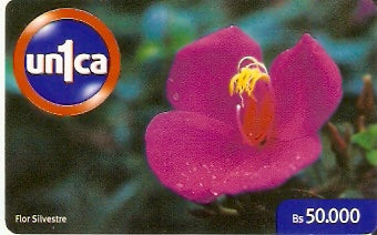 VEN-U-0487 - Flor Silvestre