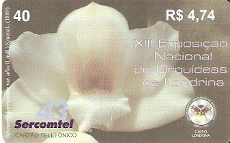 LON07-32 - Orquídea Branca