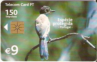 POR-PT-370 - Ave - Pêga Azul