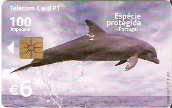 POR-PT-368B - Golfinho
