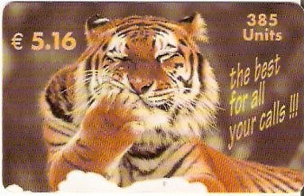 ITA-P-018 - Tigre - 385