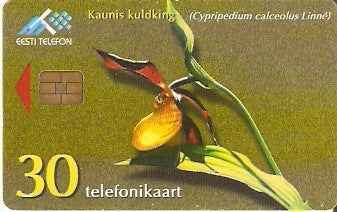 EST-139 - Orquídea