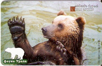 RU-EKT-F-026 - Ursus Arctos