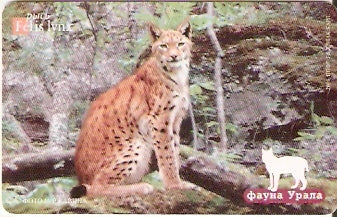 RU-UT-FU-001 - Lynx 2-070