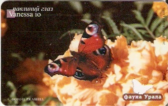 RU-UT-FU-012 - Vanessa io
