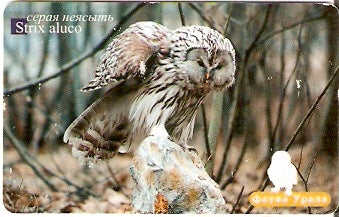 RU-UT-FU-019 - Strix Aluco