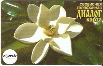 SOC-P-001 - Flor