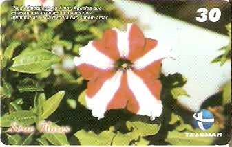 CE-743 - Petúnia
