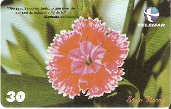 CE-729 - Cravina