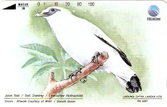 INS-S-126 - Bali Starling