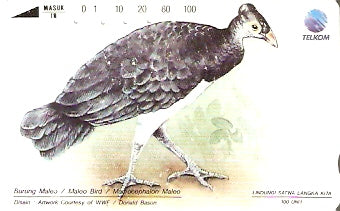 INS-S-127 - Maleo Bird