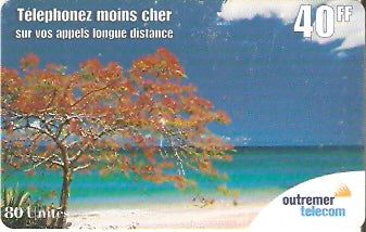 FA-OUT-005 - Flamboyant na Praia 2