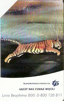 POL-0947 - Tigre