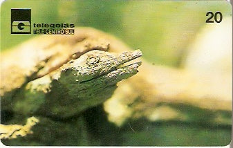 GO-045 - Jacaré