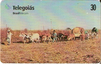 GO-266 - Carro de Boi