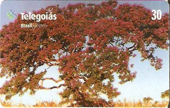 GO-271 - Sucupira Amarela