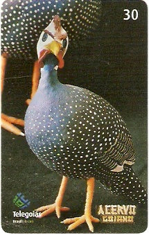 GO-496 - Artesanato - 04/10