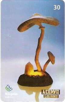 GO-499 - Artesanato - 07/10