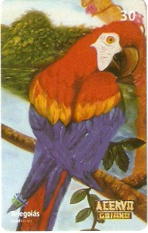 GO-526 - Pintura - 04/10