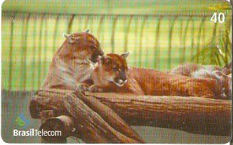 GO-647 - Mamíferos - 09/10