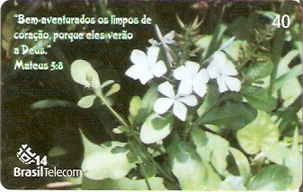 GO-658 - Passagens Bíblicas - 2/5