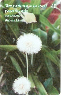 GO-661 - Passagens Bíblicas - 5/5