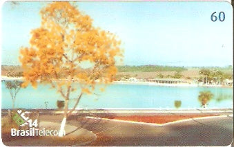 GO-673 - Ipê Amarelo