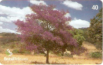 GO-693 - Árvores - 4/4