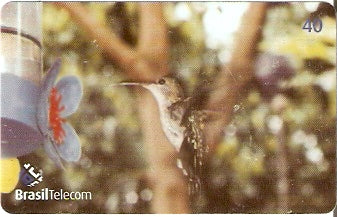 GO-703 - Beija-Flor - 1/2