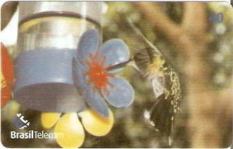 GO-704 - Beija-Flor - 2/2