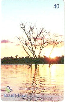 GO-725 - Árvores do Cerrado - 4/4