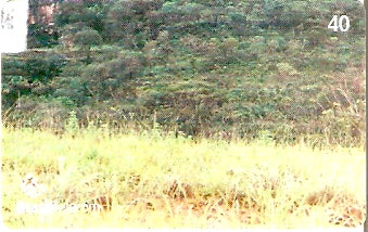 GO-721 - Salto do Corumbá - 4/4