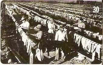 CTMR-051- Charqueadas - 06/12