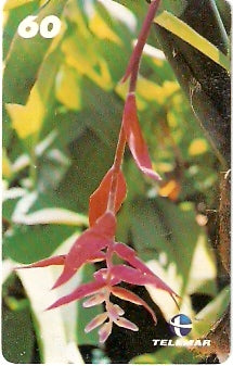 AL-102 - Bromélias - 1/5