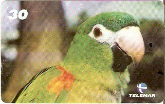 AL-157 - Mata Atlântica - 02/10