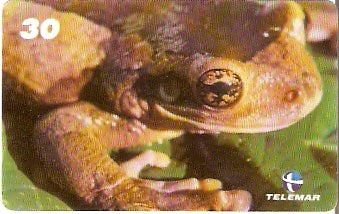 AL-199 - Mata Atlântica - 04/10