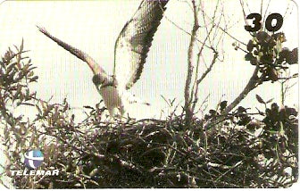 BA-194 - Aves - 01/20