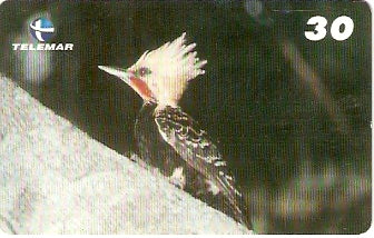 BA-197 - Aves - 04/20