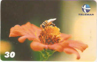 RN-093M - Primavera