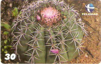 RN-104M - Coroa-de-Frade