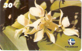 RN-105M - Anacheilion Fragans