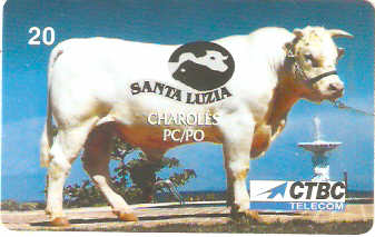 CTBC-T-0268M - Raça Charolês