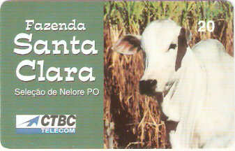 CTBC-T-0269M - Raça Nelore