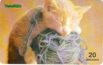 CTBC-T-0274M - Gato