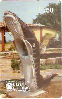 MT-002M - Pintado